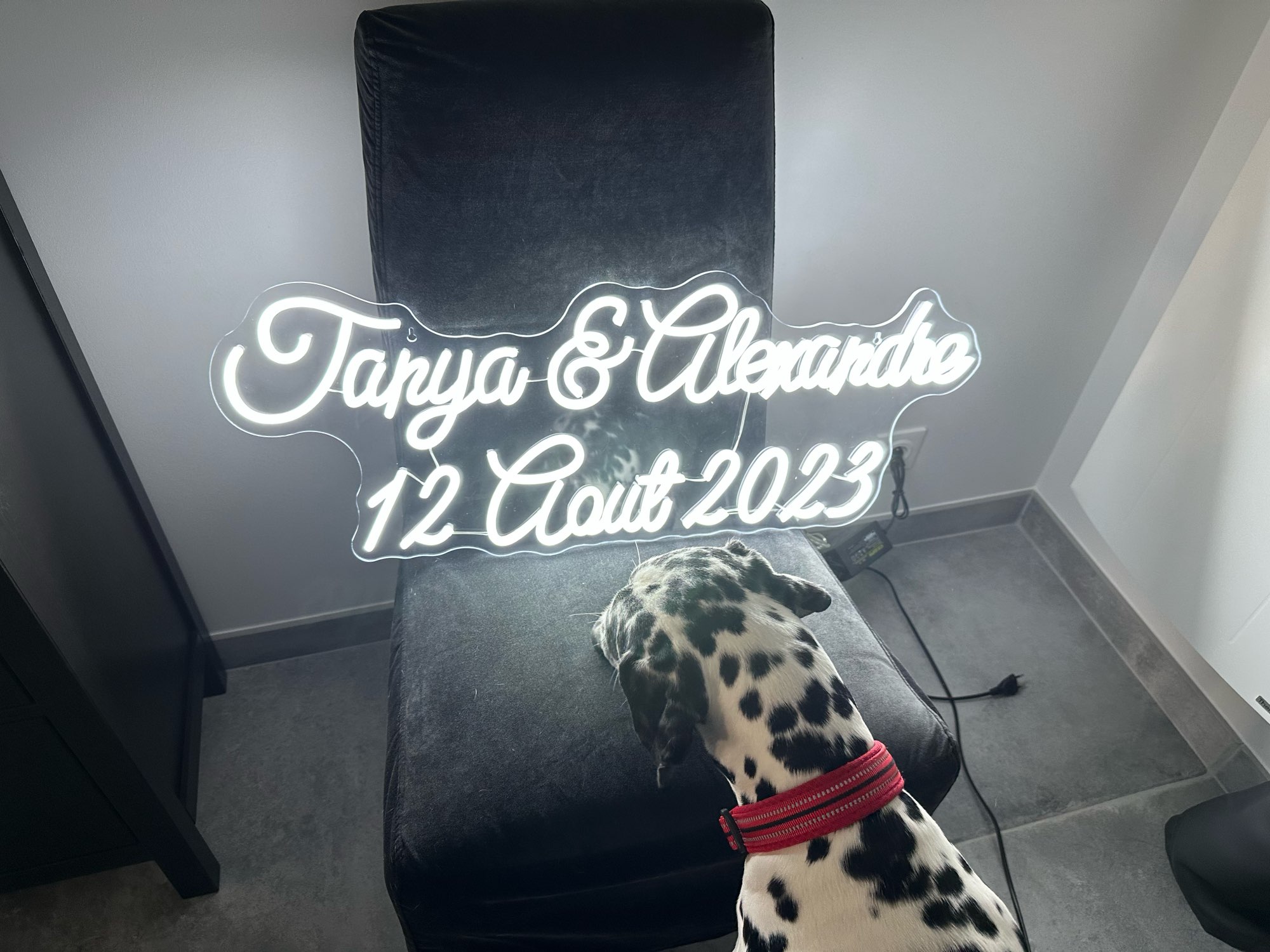 Custom Neon Teken Led Neon Lic - Home Office Logo recensie en prijs